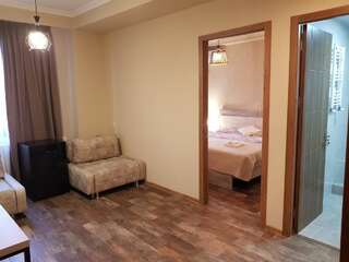 Отель Hotel Terrace Kutaisi Кутаиси Номер Делюкс с кроватью размера «king-size»-4